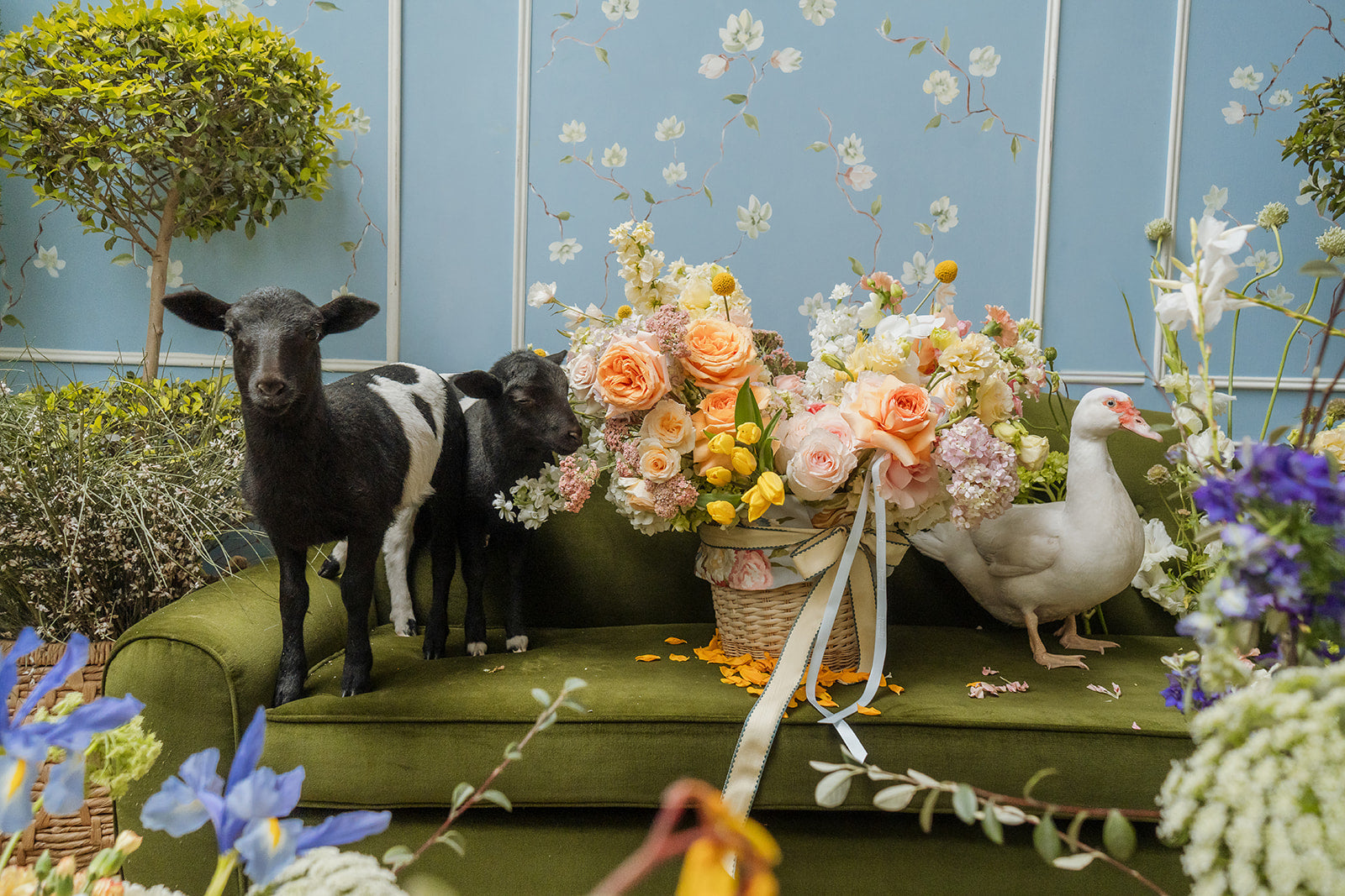 Te presentamos la Colección Primavera 2025: Desde la tierra, hacia el sol