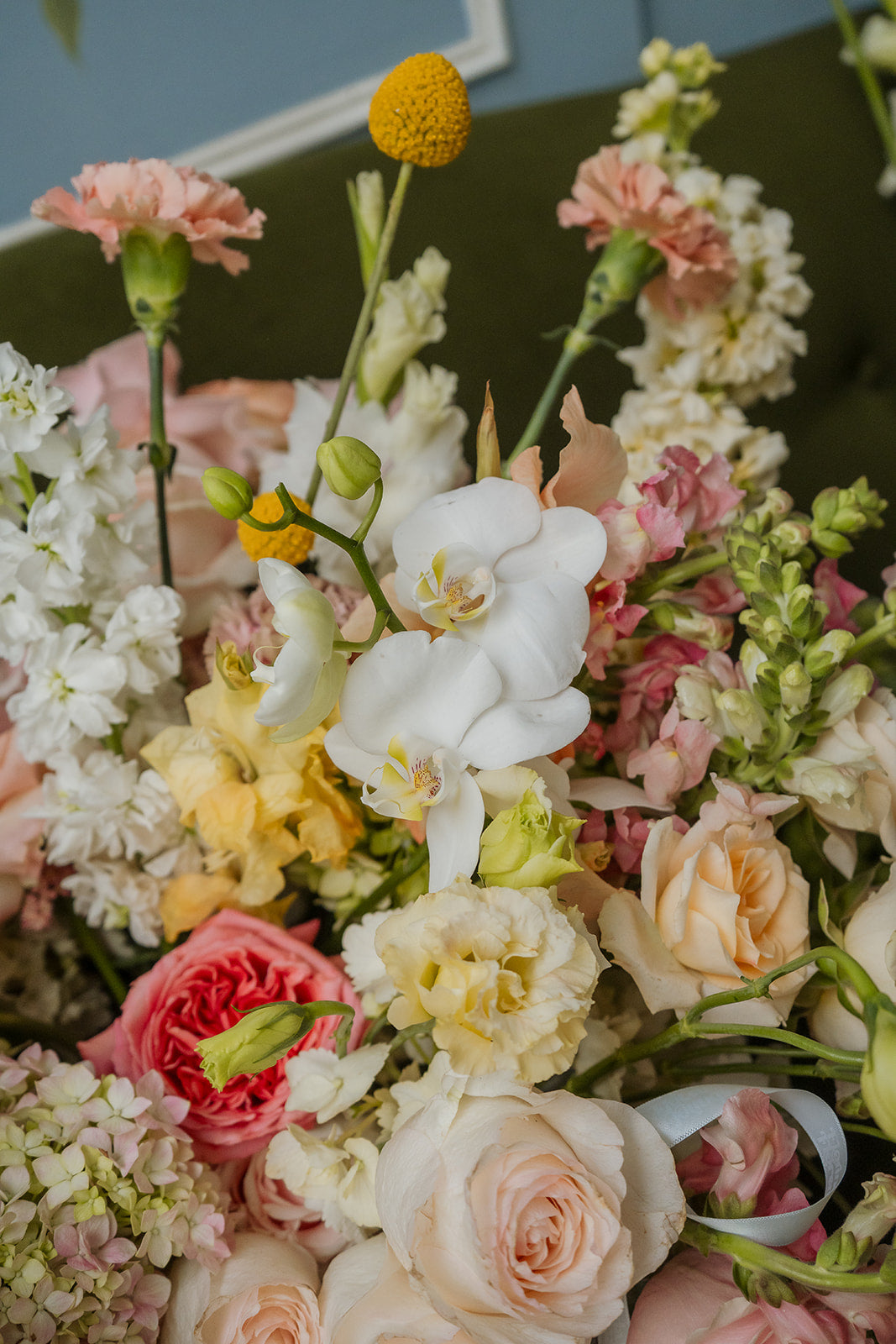 GARDEN IN BLOOM